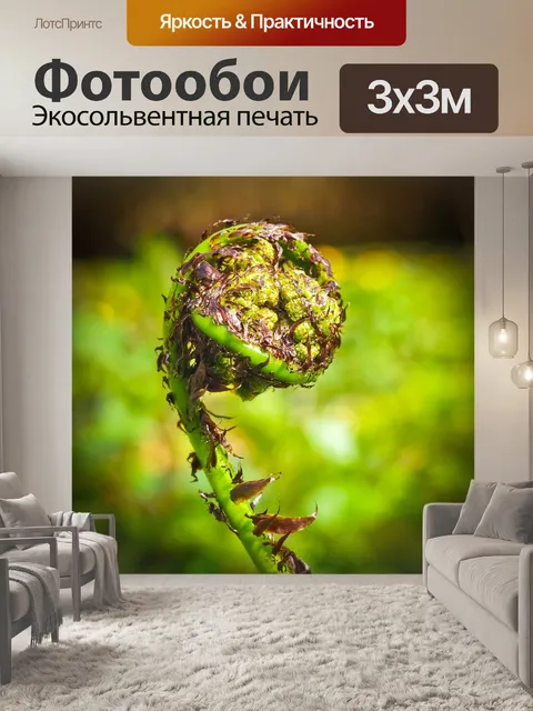 Фотообои Папоротник