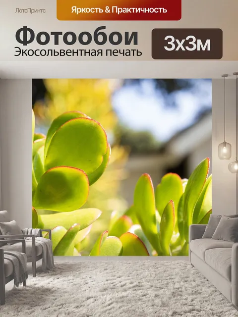 Фотообои Листья