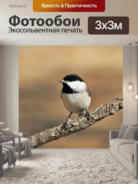 Фотообои Чернокожий Чикади на ветке 3