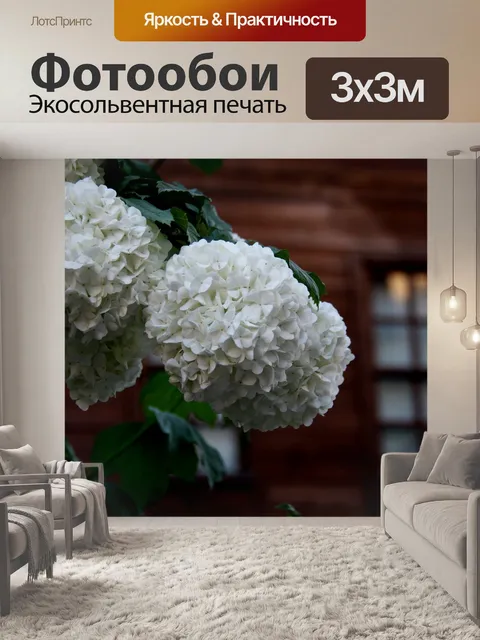 Фотообои Бартин