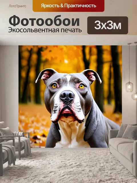 Фотообои Крупный план головы собаки породы питбуль с серо-белым окрасом