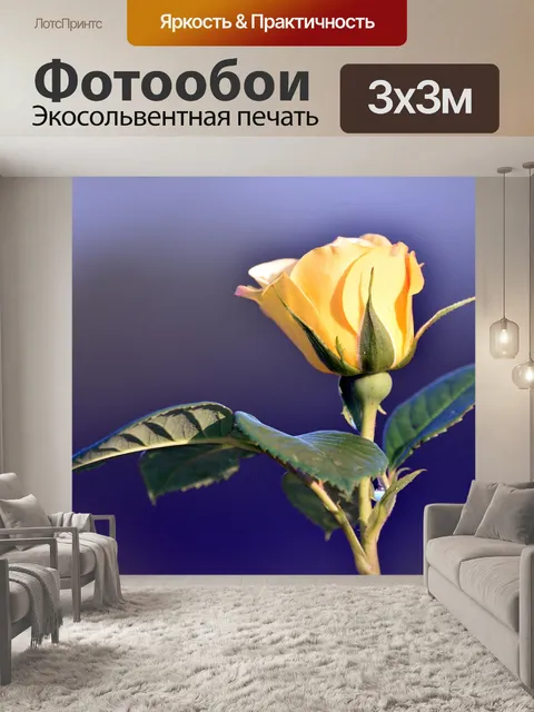 Фотообои Роуз