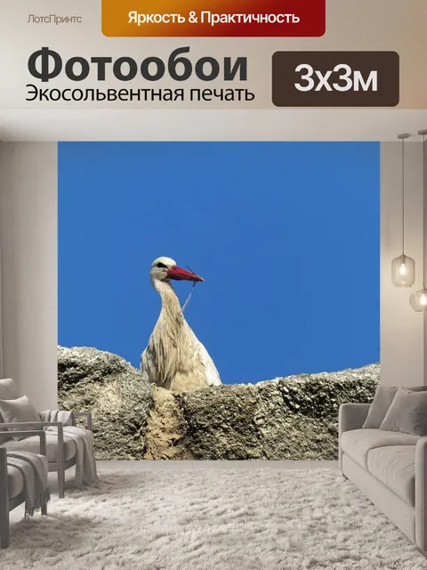 Фотообои Аист