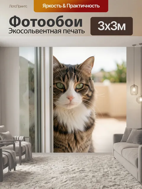 300 × 300 см · Экосольвентная печать