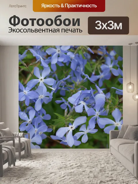 Фотообои Цветы