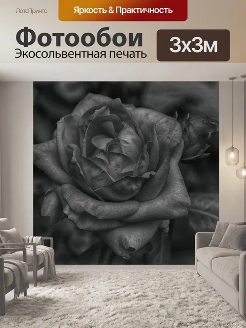 Фотообои Черно-белый