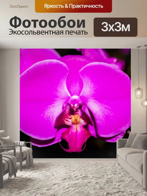 Фотообои Цветок орхидеи