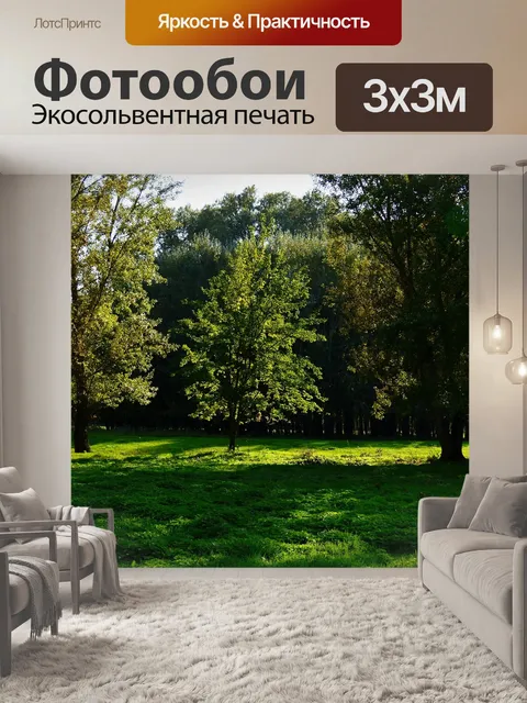 Фотообои Деревья