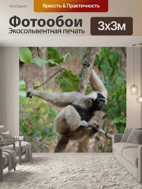 Фотообои Обезьяна