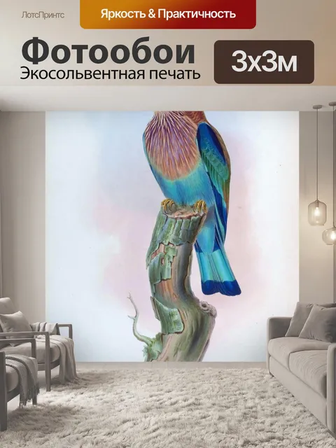 Фотообои Иллюстрация винтажного искусства птиц