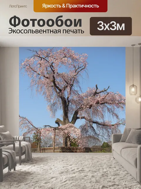 Фотообои Пекин