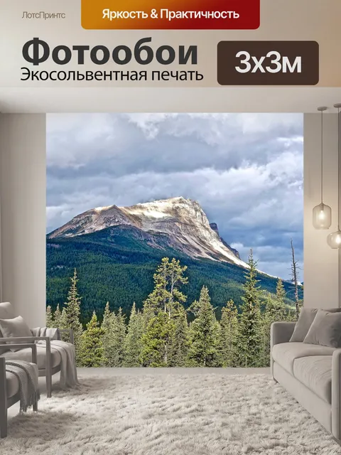 Фотообои Пик