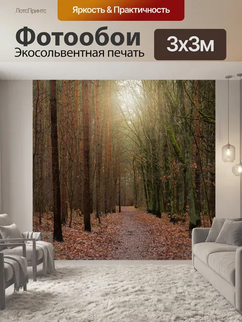 Фотообои Лес