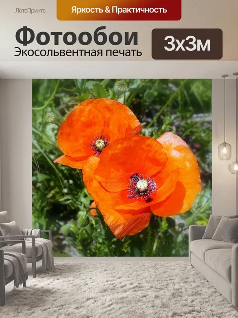 Фотообои Маки