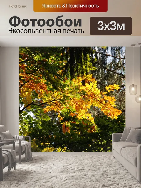 Фотообои Золотая осень