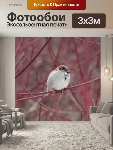 Фотообои Природа