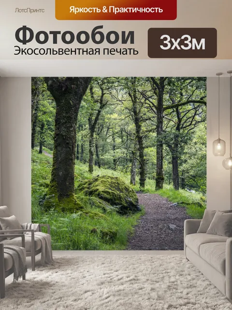 Фотообои Путь через лес