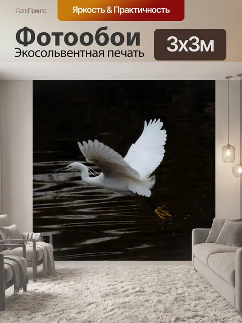 Фотообои Птица