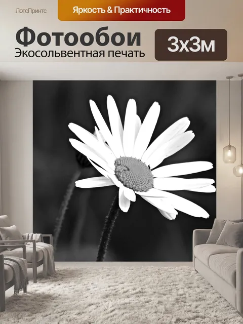 Фотообои В белом и черном