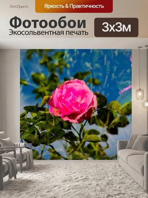 Фотообои Роза