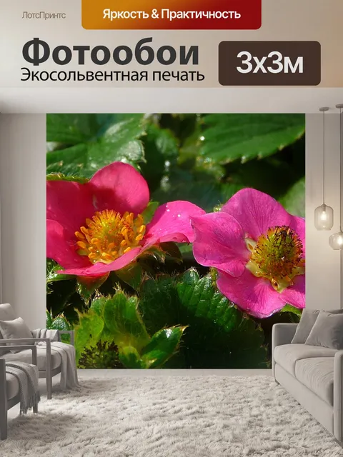 Фотообои Клубника Цветы