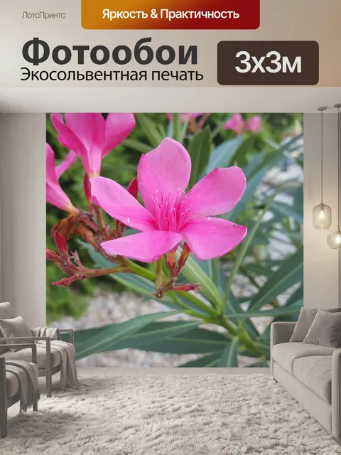 Фотообои Цветок