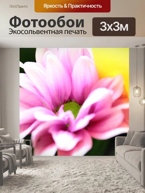 Фотообои Лаванда цветок