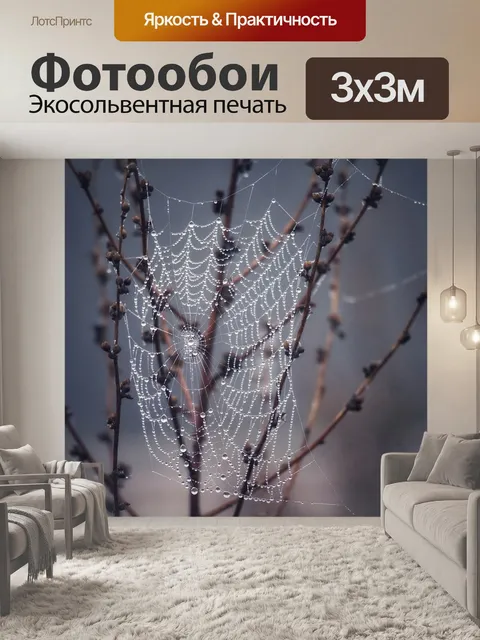 Фотообои Сеть
