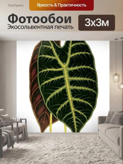 Фотообои Листва лист растение прозрачный