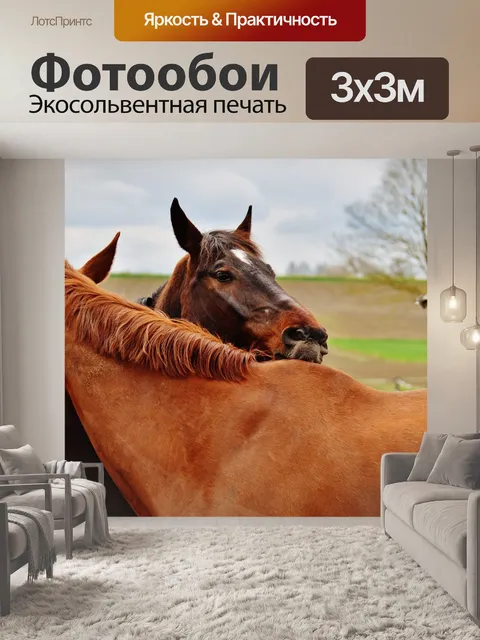 Фотообои Лошади