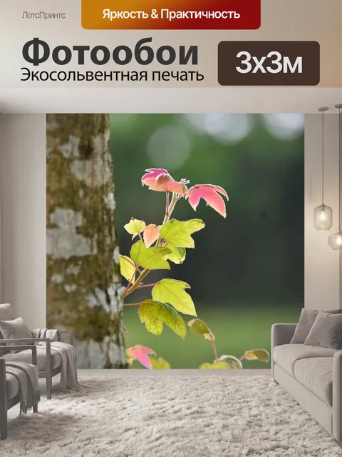Фотообои Листья