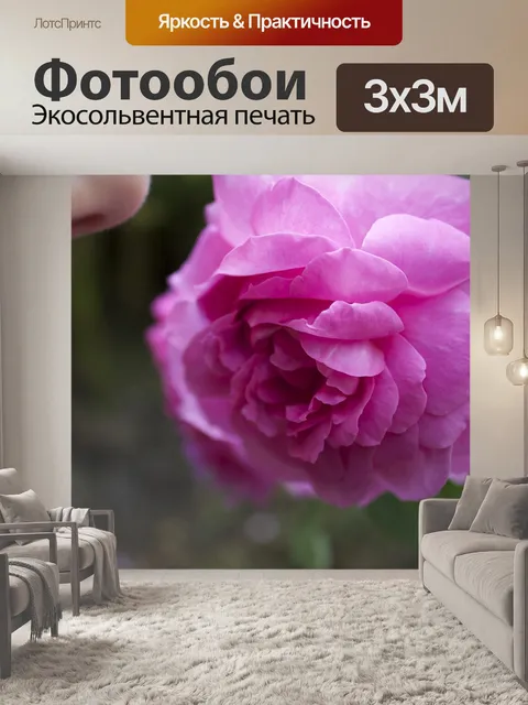 Фотообои Роза