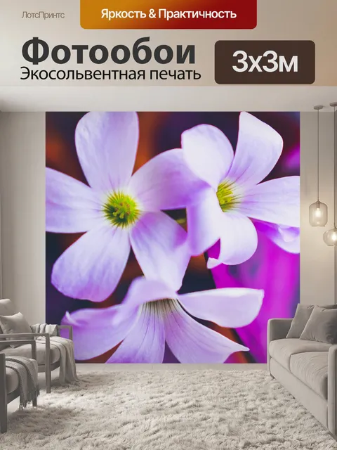 Фотообои Цветы