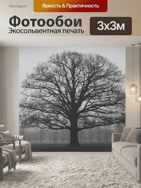 Фотообои Туман