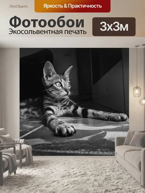 Фотообои Кошка