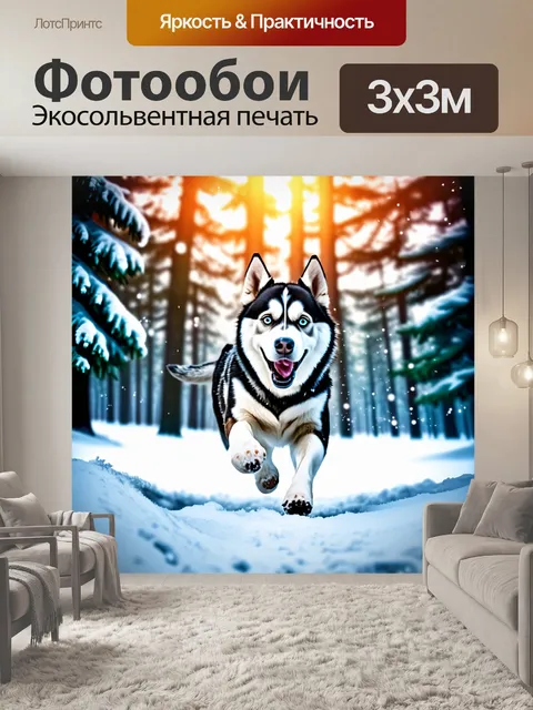 Фотообои Хаски бежит по глубокому снегу в зимнем лесу