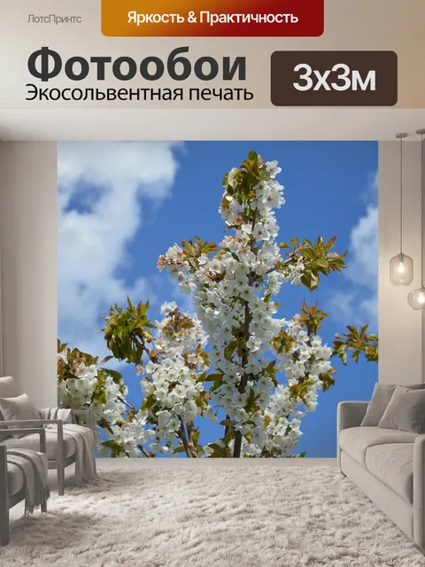 Фотообои Вишни в цвету