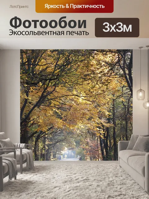 Фотообои Лес