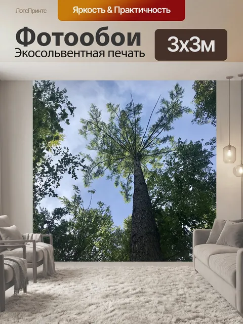 Фотообои Деревья