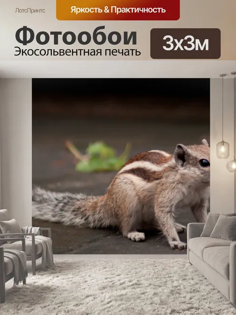 Фотообои Прелестный Белка