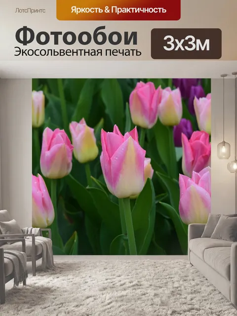 Фотообои Тюльпаны поля