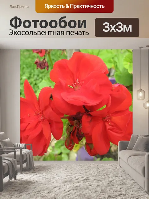 Фотообои Мака