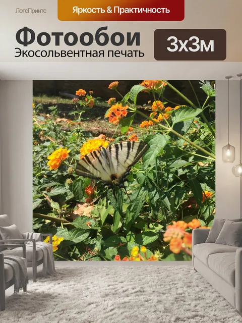 Фотообои Бабочки