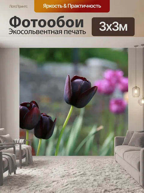 Фотообои Тюльпаны