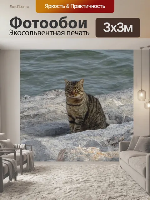 Фотообои Кот