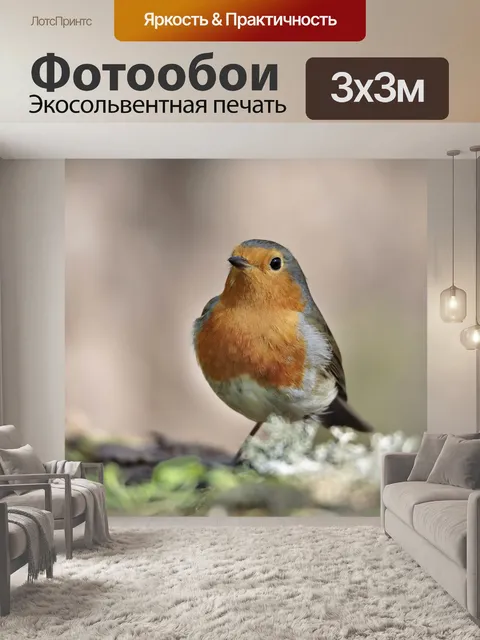 Фотообои Природа
