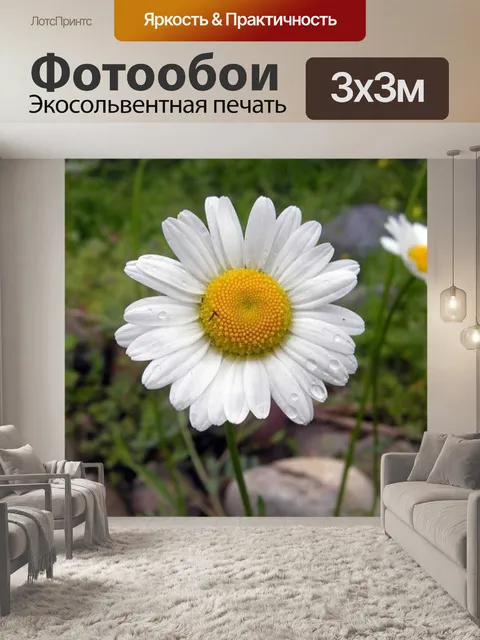Фотообои Цветы