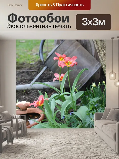 Фотообои Натюрморт