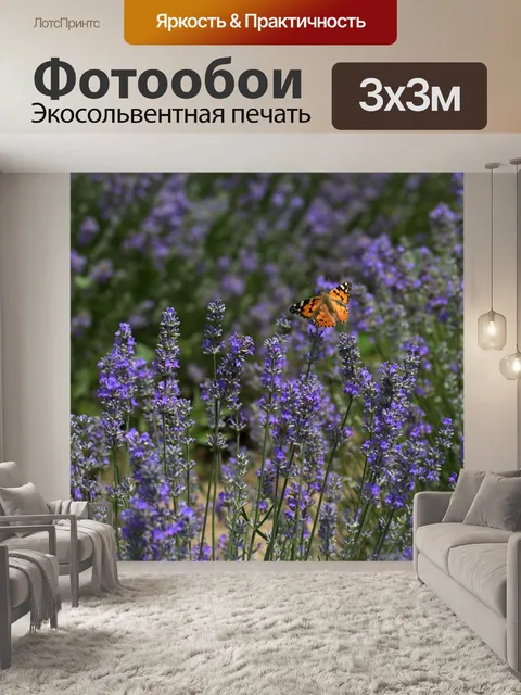 Фотообои Лаванда