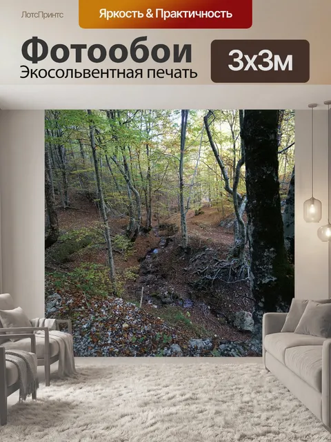 Фотообои Trees